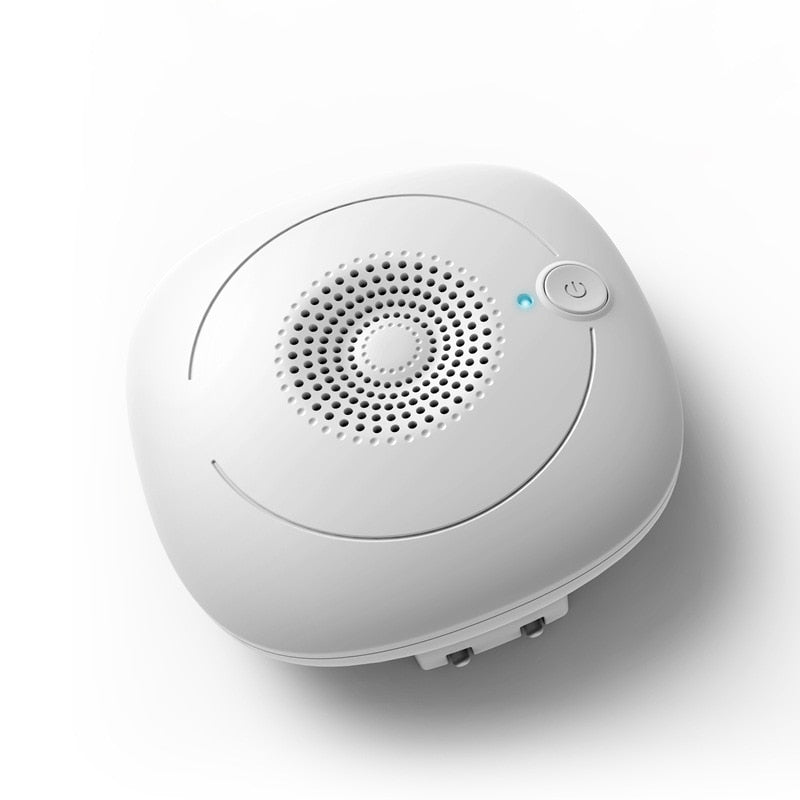 Portable O3 Ionizer disinfect Ozone generator and negative ion generator Sterilizer Fresh Air Purifier 100-240v EU plug